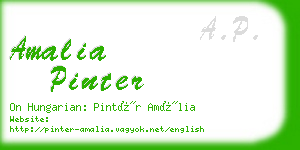 amalia pinter business card